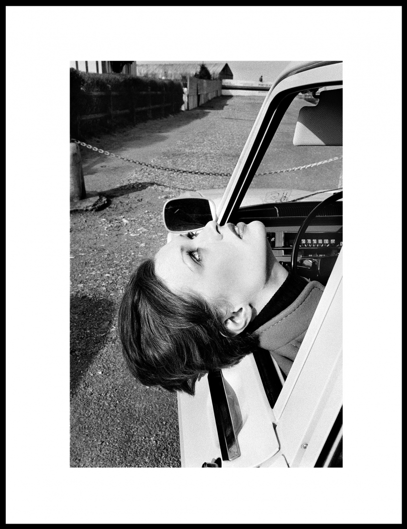 Chien andalou