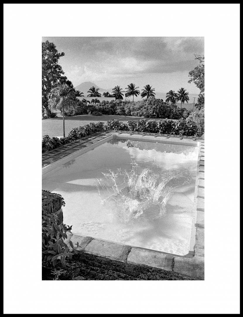 The Splash