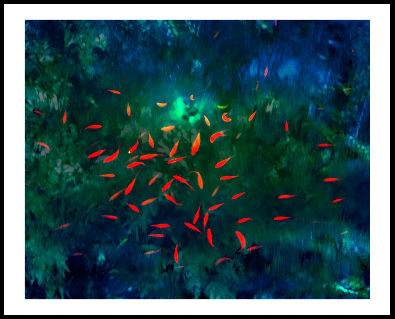Les poissons de Confucius