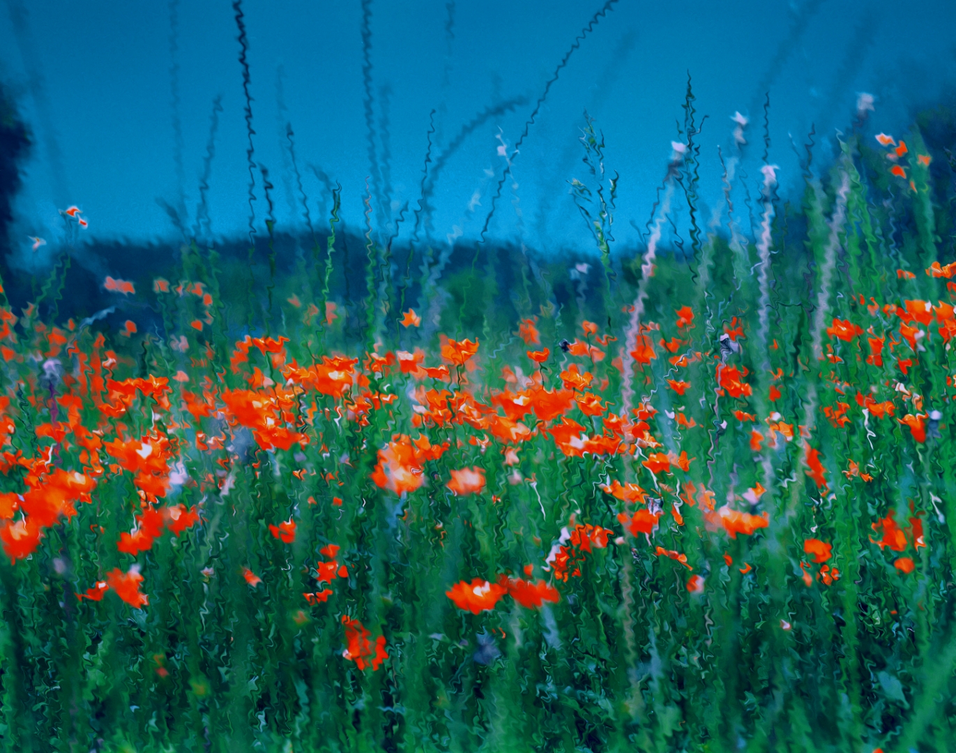 Un jour d'été