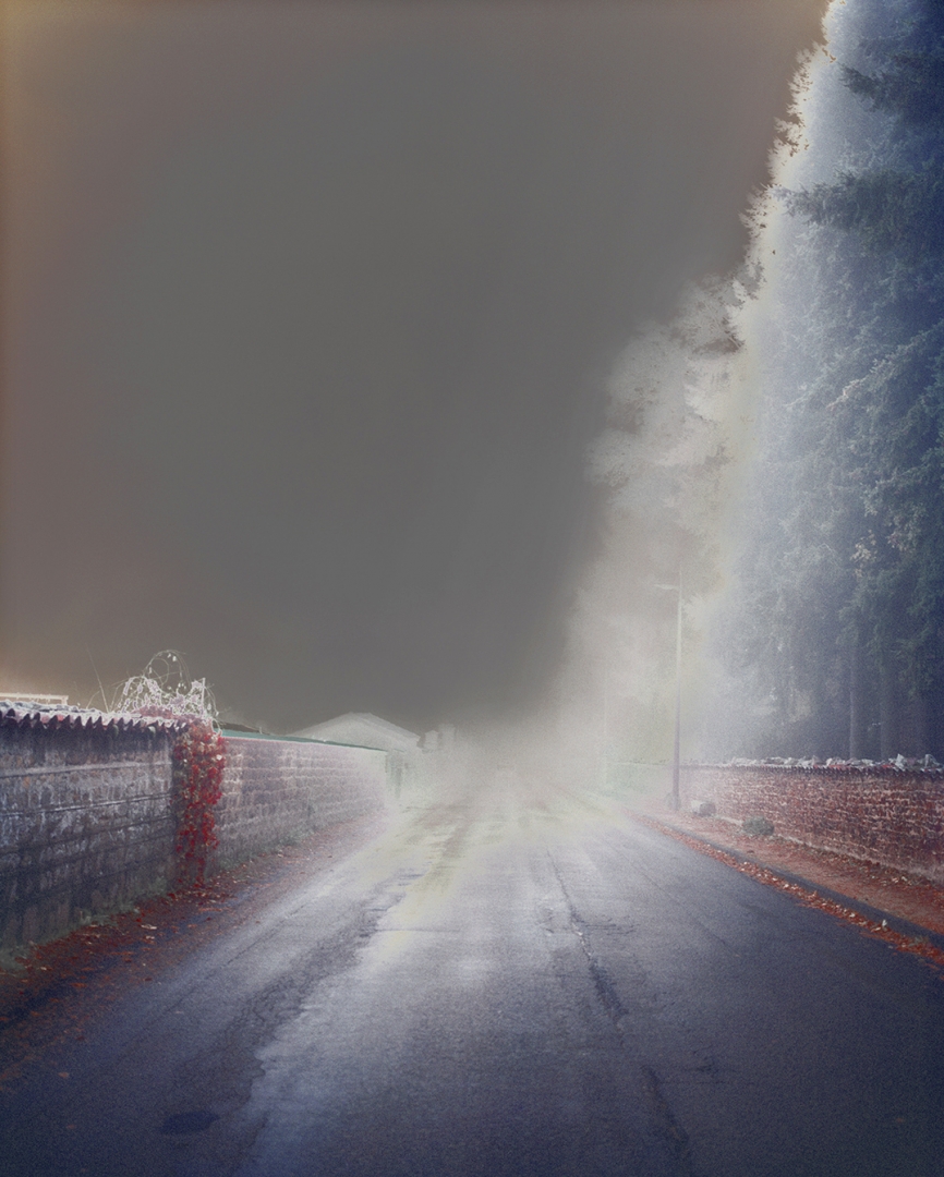 Jour de brume