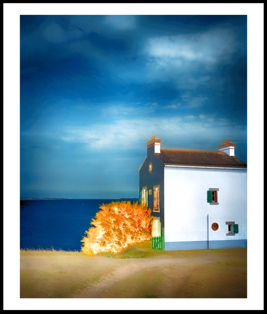 Le buisson ardent