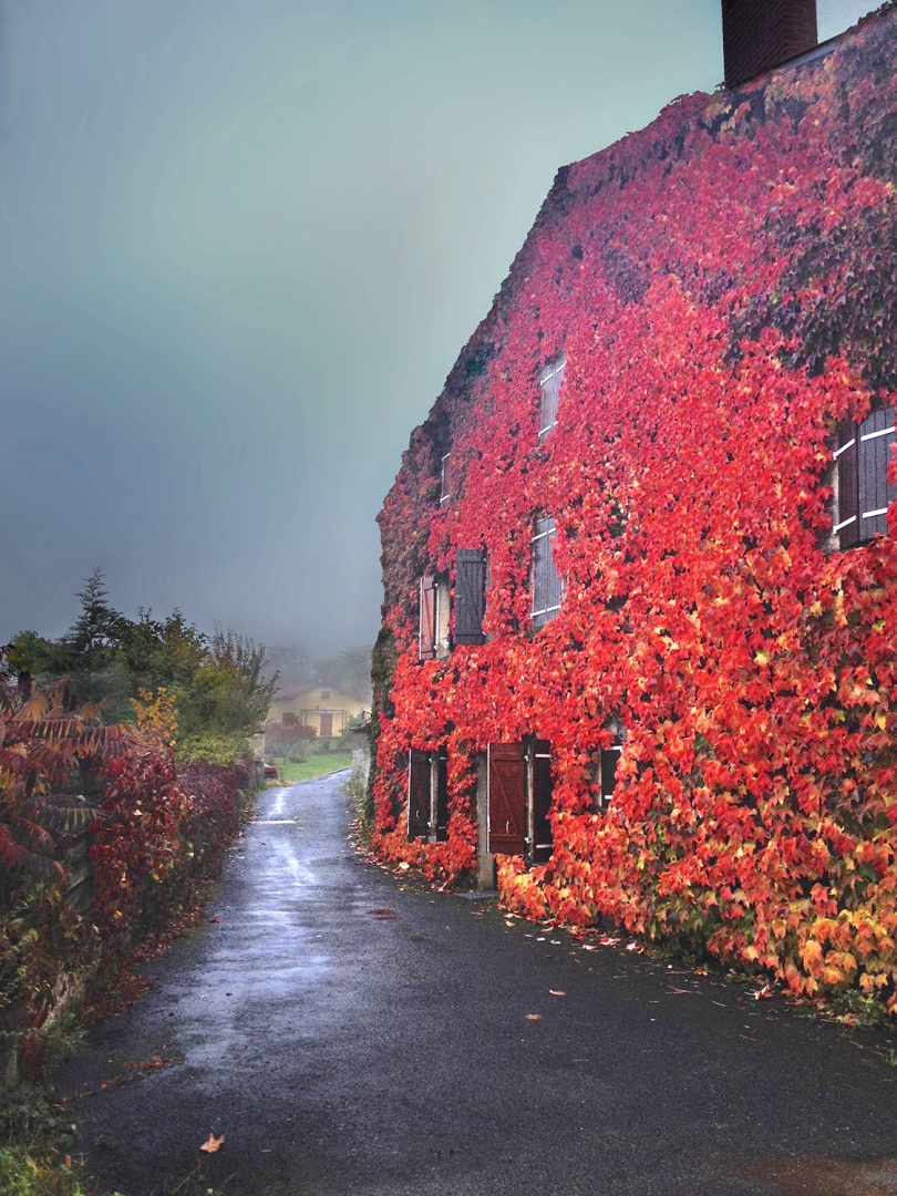 La maison rouge