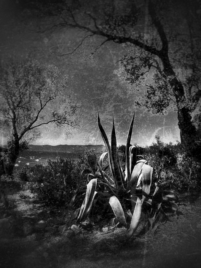Au bord du chemin