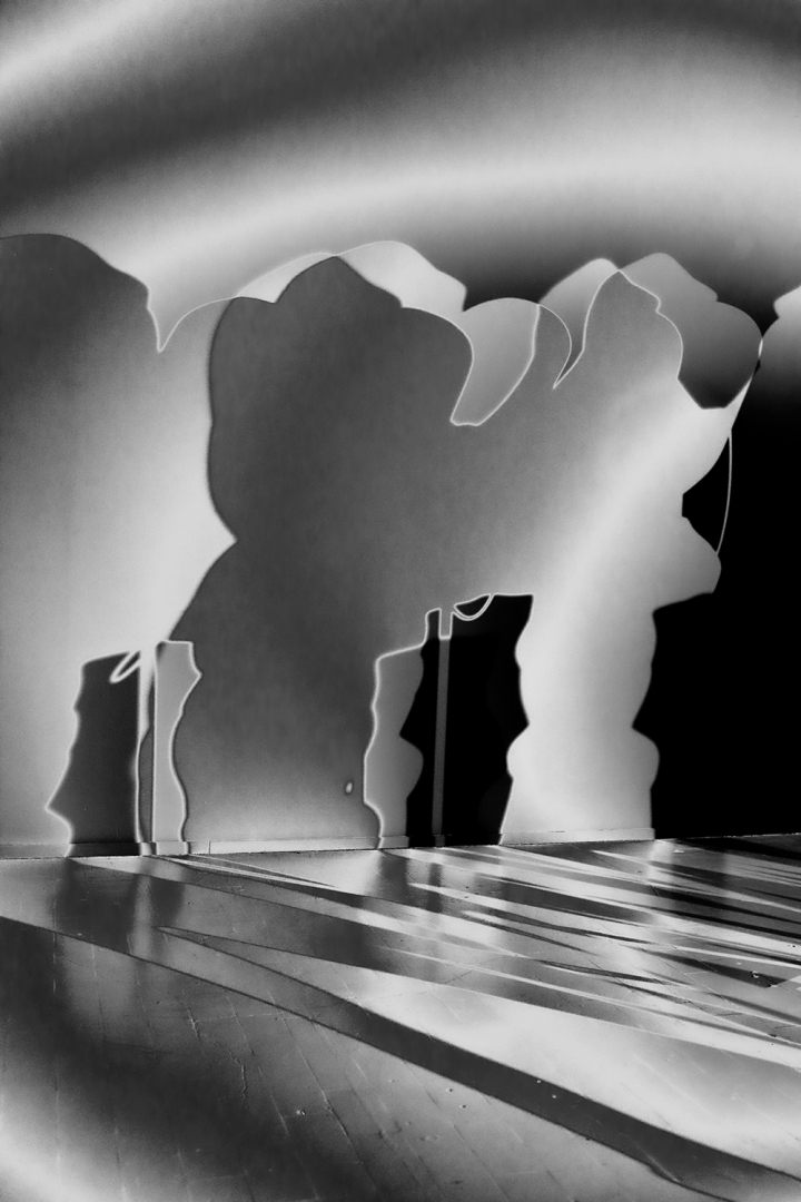 L'armée des ombres
