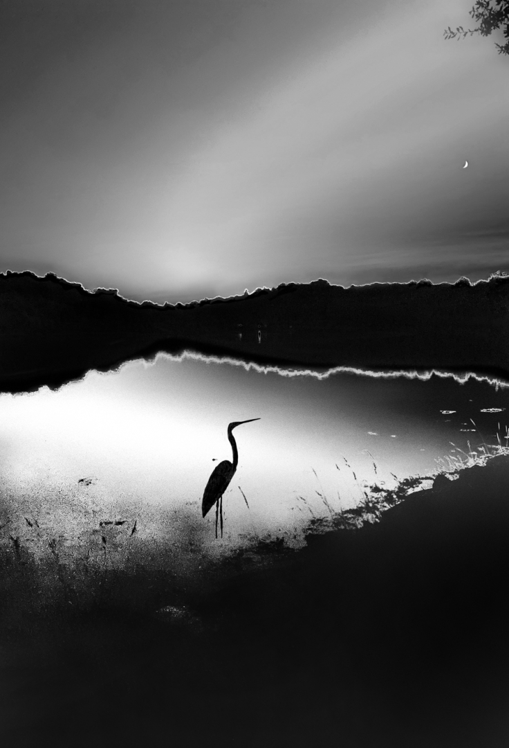 L'ombre du lac