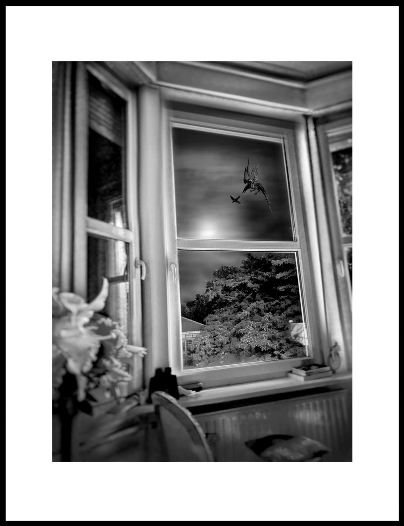 La nuit du chasseur
