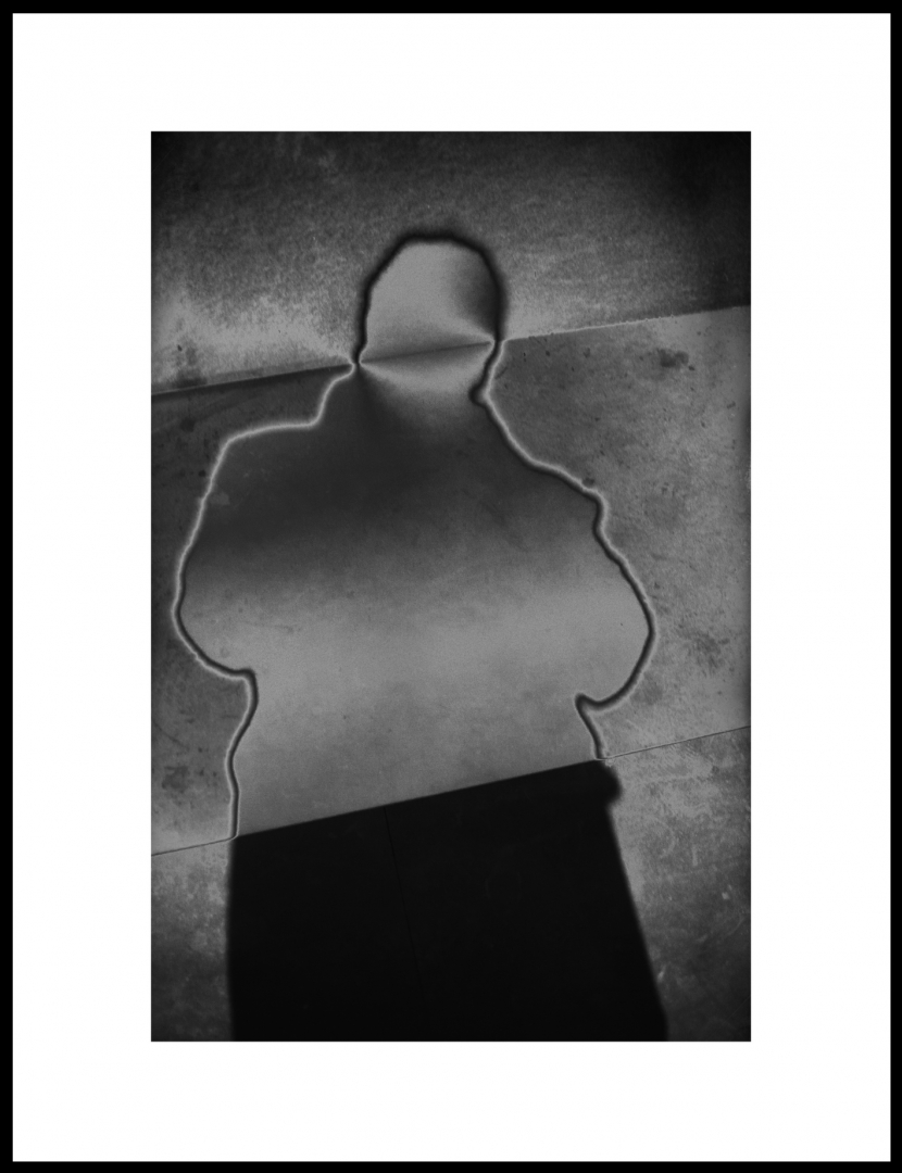Le Prince de la nuit