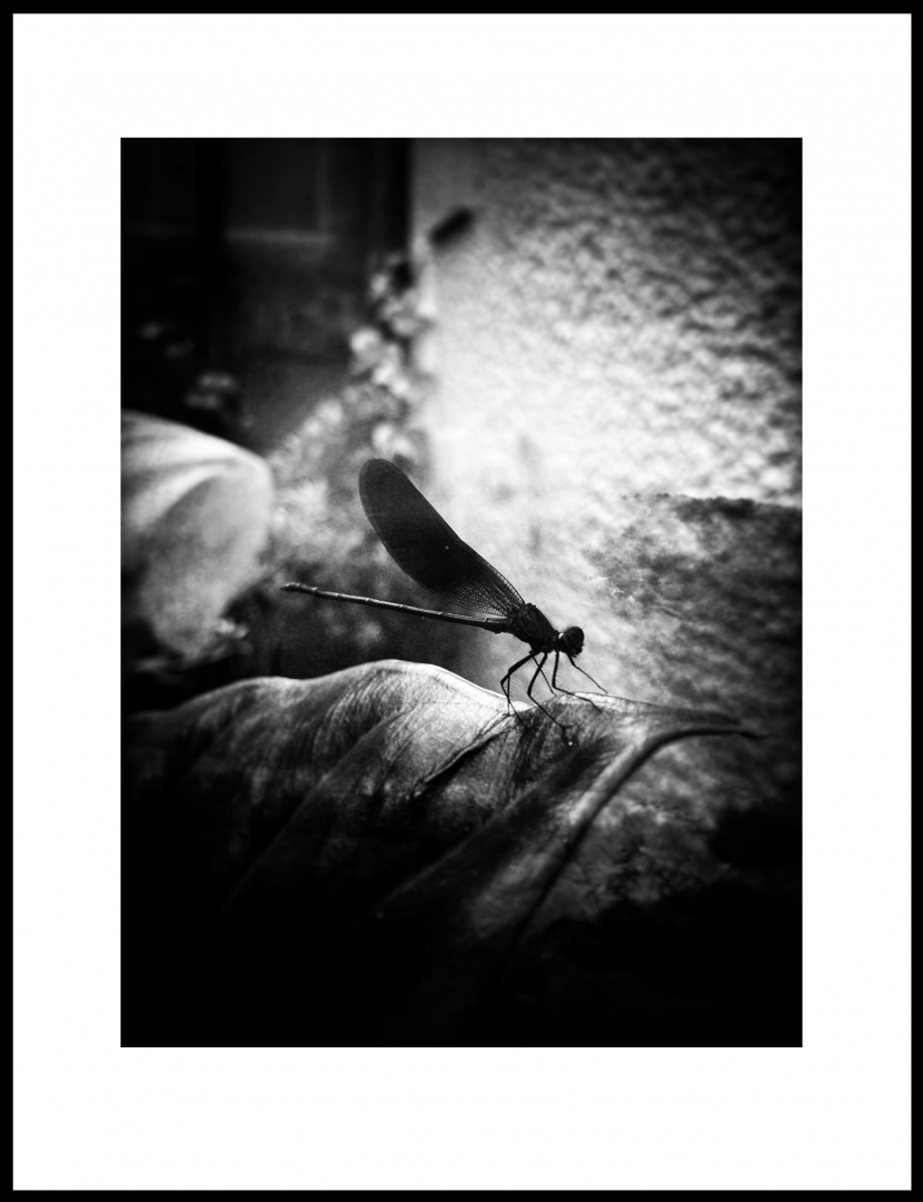 Le messager