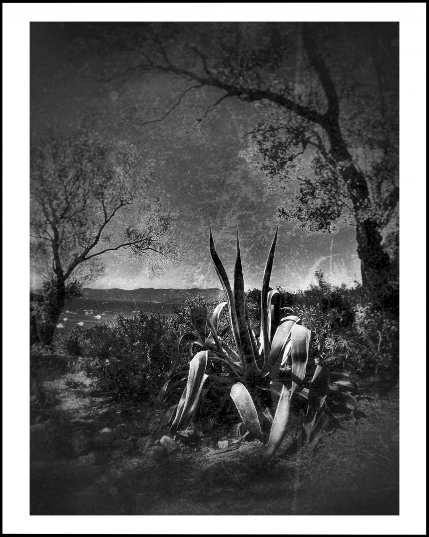 Au bord du chemin