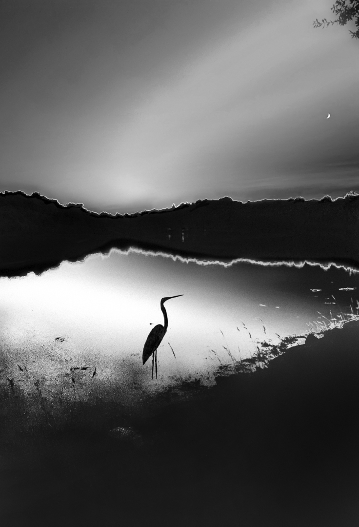 La part de l'ombre