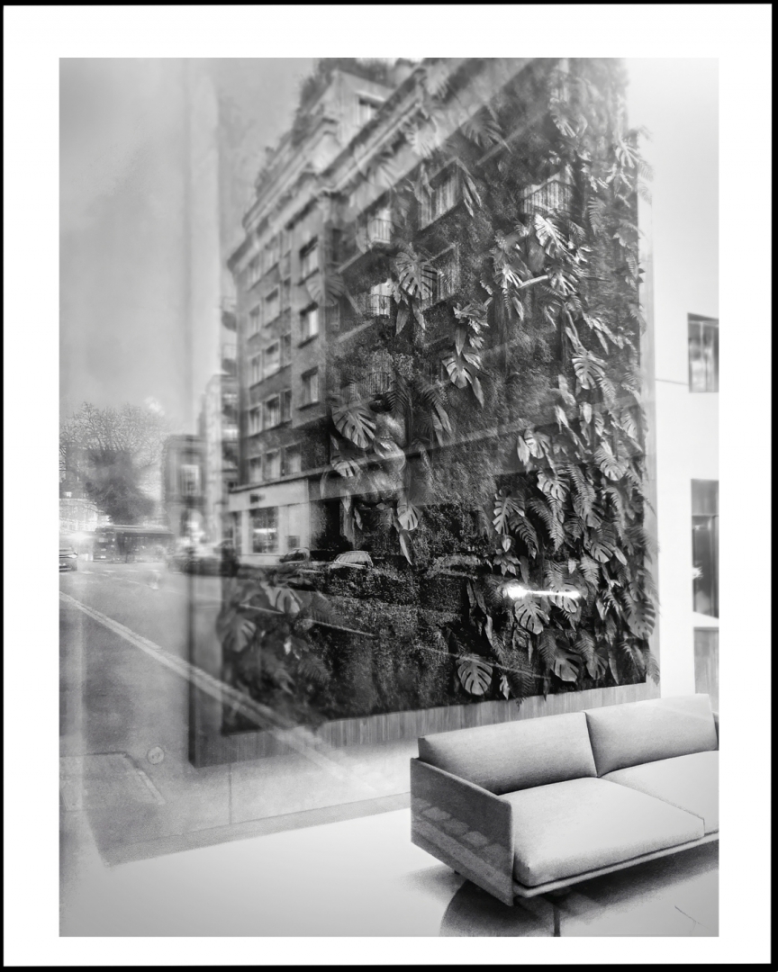 La rue des vitrines obscures