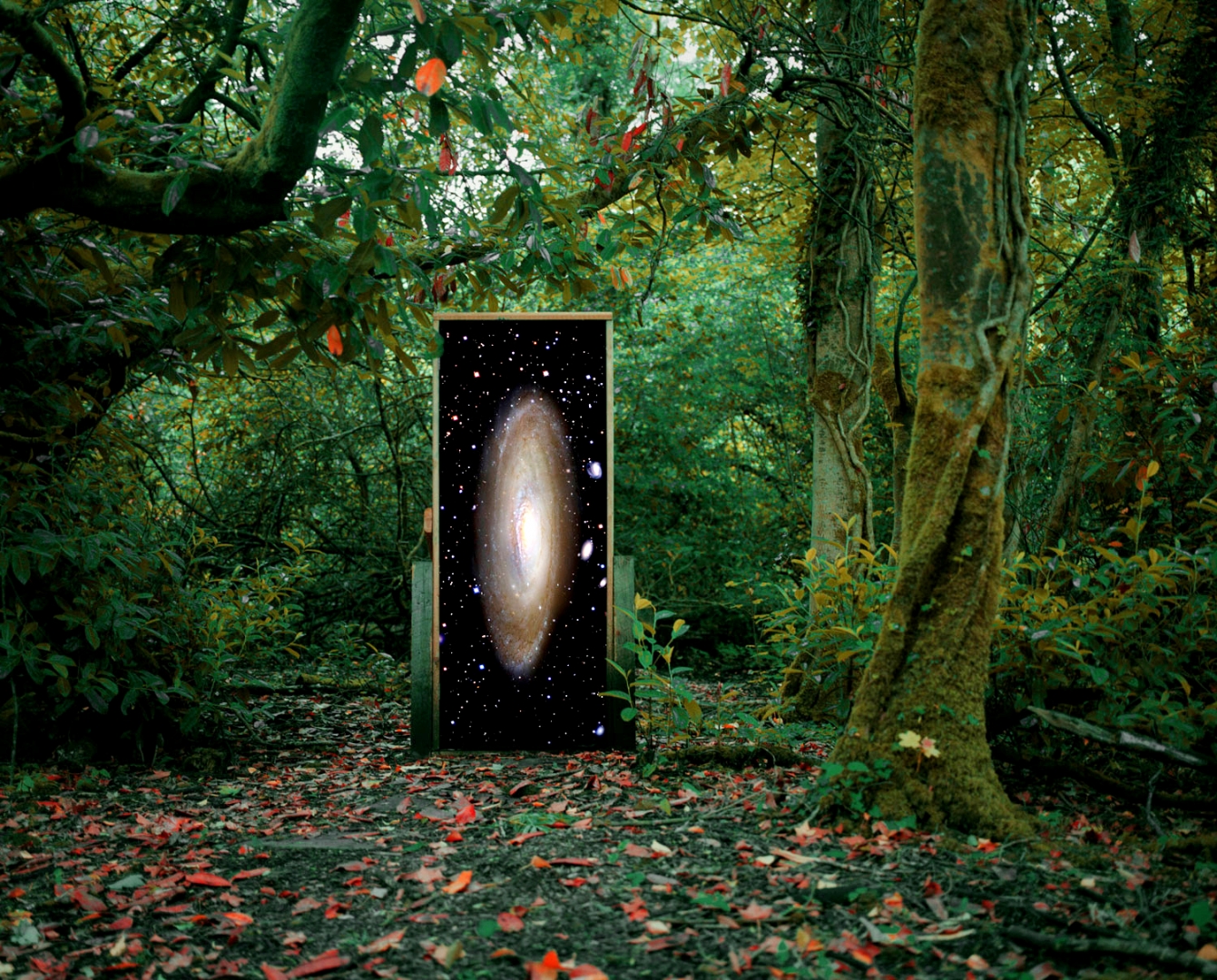 Star gate
