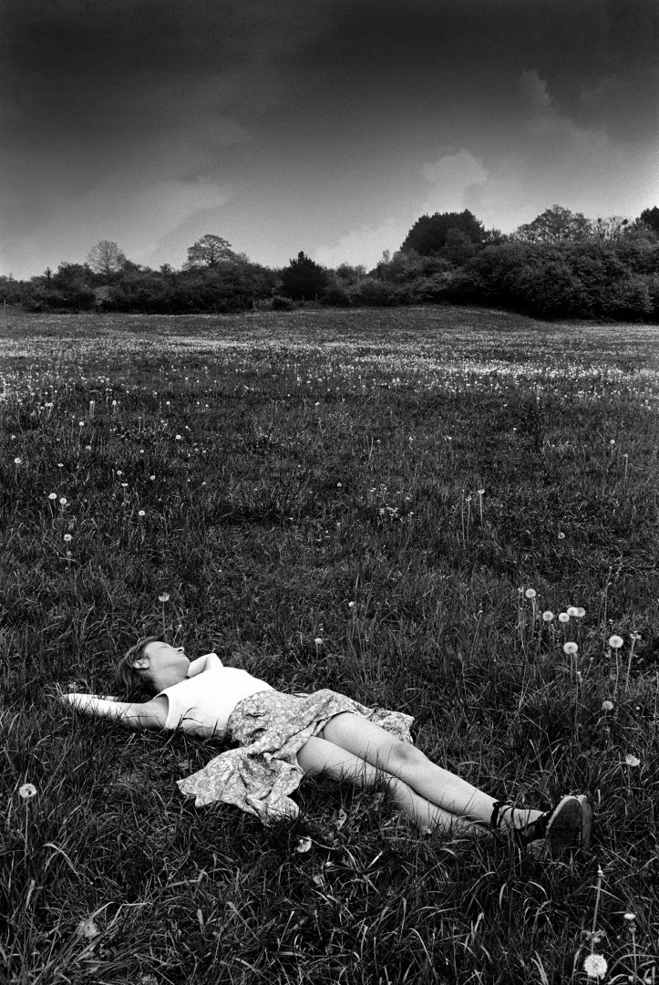 L'amour dans les prés